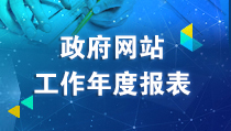 政府网站工作年度报表