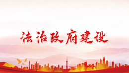 法治政府建设
