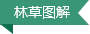  林草图解
