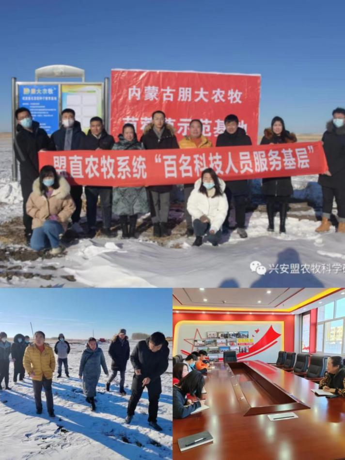 盟农研所党总支书记刘文明、所长徐兴健带领牧草种植专家组赴跃进马场朋大农牧试验地参观调研