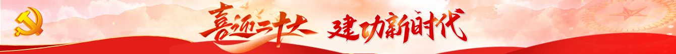 喜迎二十大