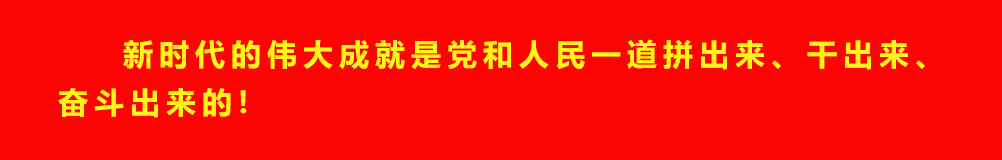 新时代的伟大成就是党和人民一道拼出来、干出来、奋斗出来的！