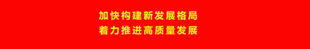 加快构建新发展格局 着力推进高质量发展