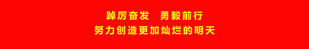 踔厉奋发 勇毅前行努力创造更加灿烂的明天